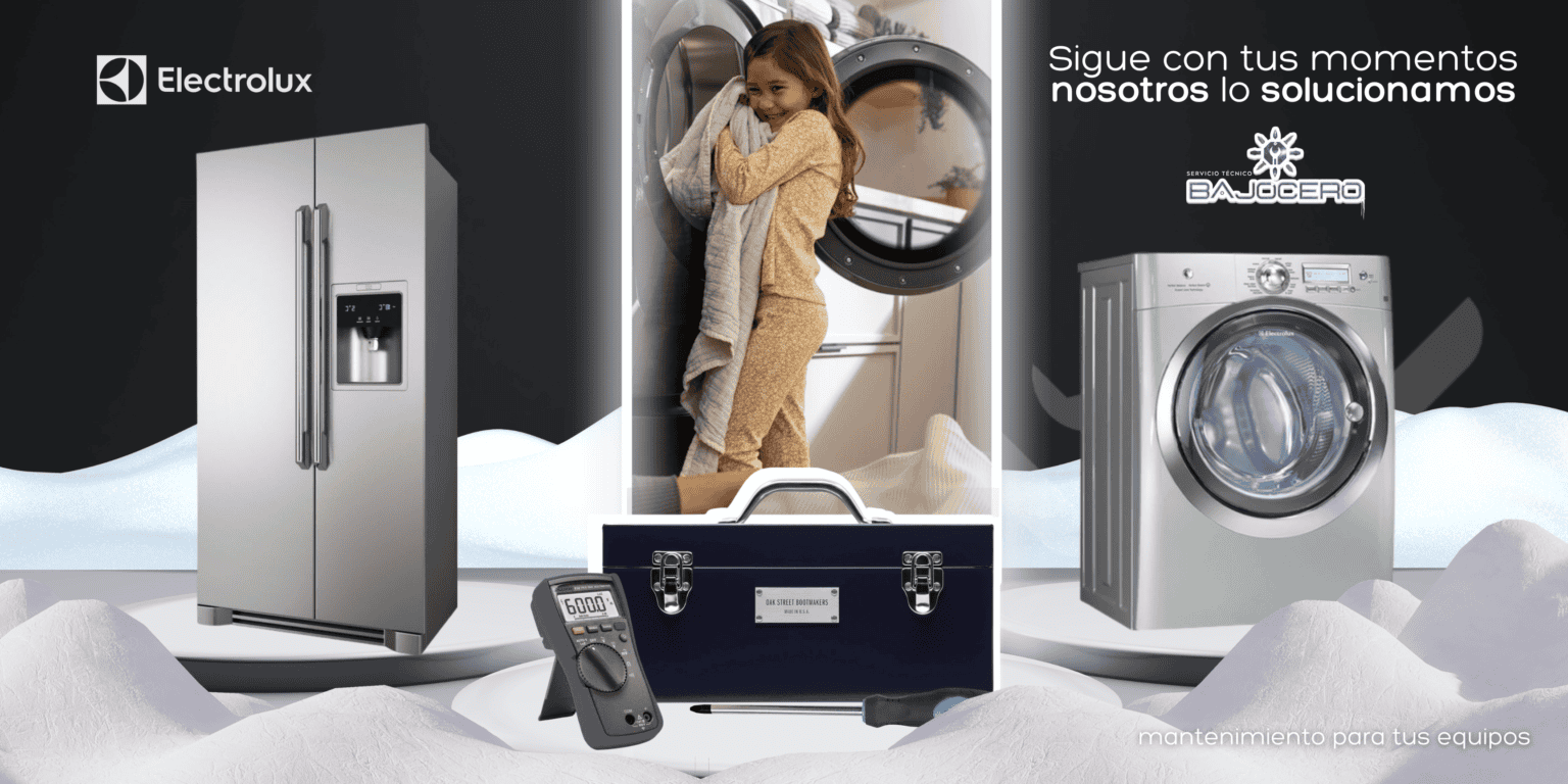 MANTENIMIENTO ELECTROLUX (3)