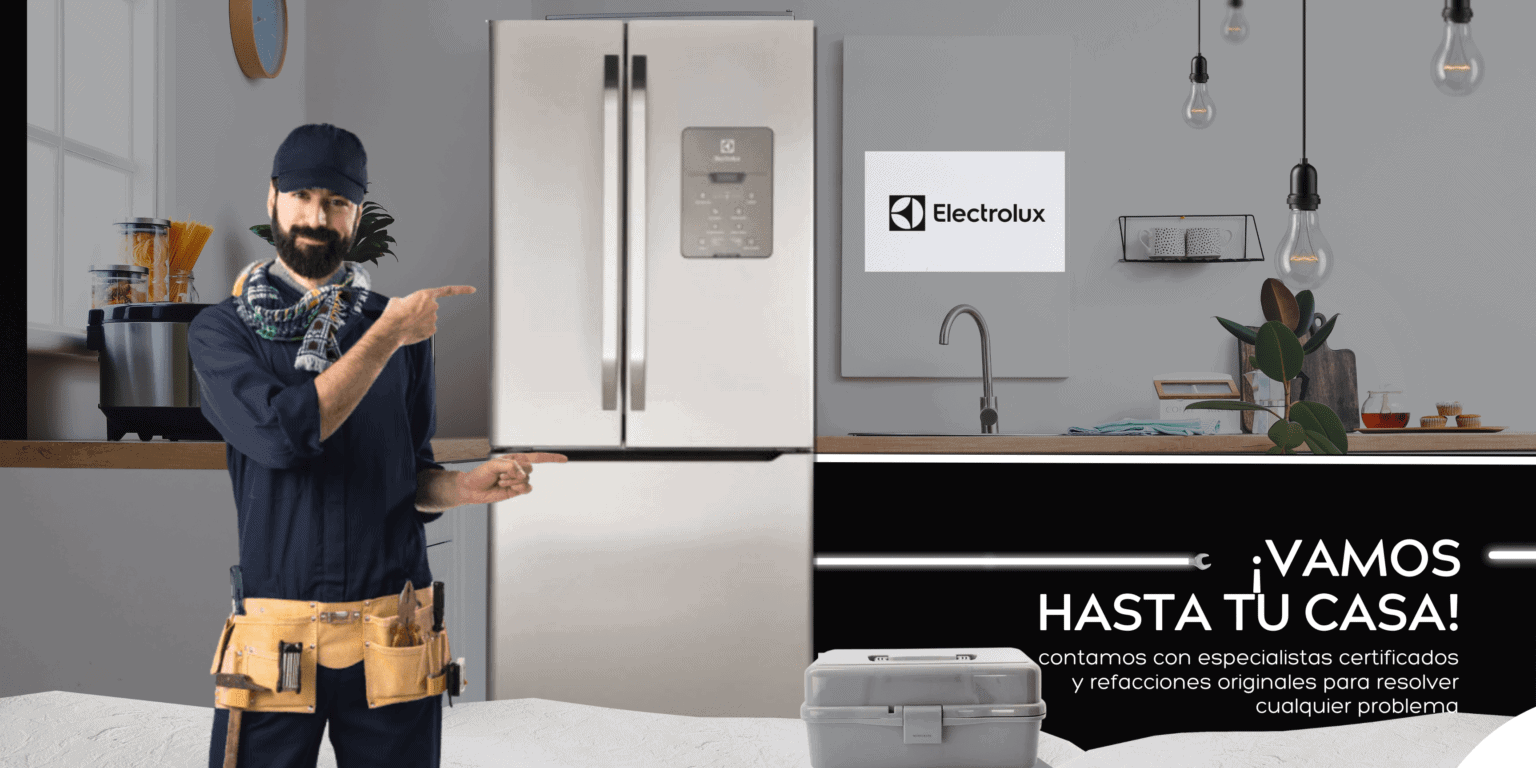 SERVICIO A DOMICILIO ELECTROLUX